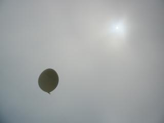 Balloon in the Fog